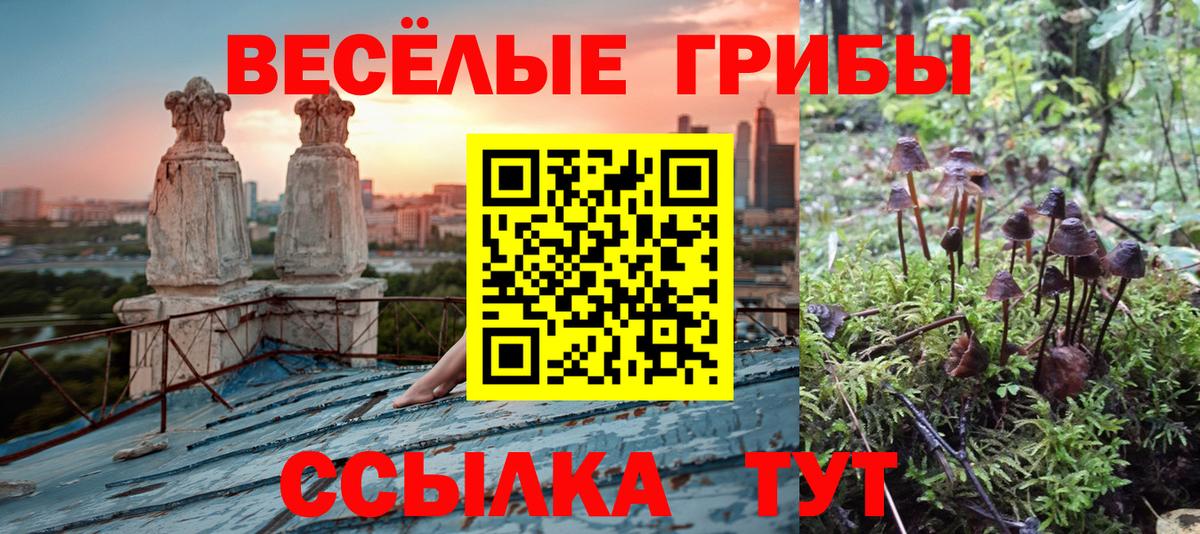 Галлюциногенные грибы MAGIC MUSHROOMS  Вход с VPN  Аша 