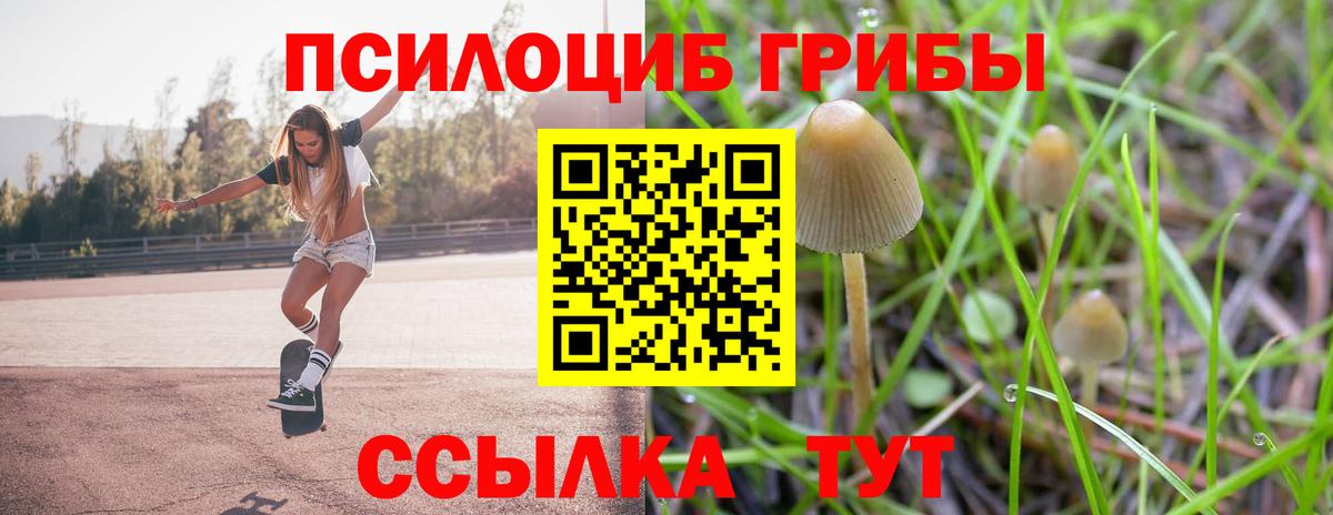 Псилоцибиновые грибы мицелий Аша